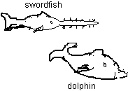 img00078.gif
